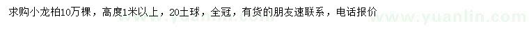 求購(gòu)高1米以上小龍柏