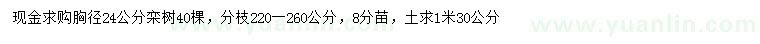 求購胸徑24公分欒樹