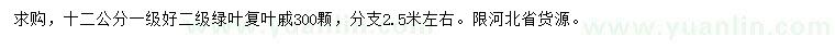 求購12公分綠葉復葉槭