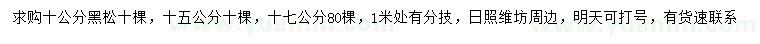 求購10、15、17公分黑松