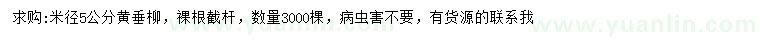 求購米徑5公分黃垂柳