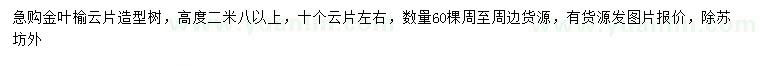 求購高2.8米造型金葉榆云片