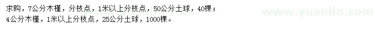 求購(gòu)4、7公分木槿