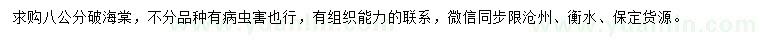 求購(gòu)8公分海棠
