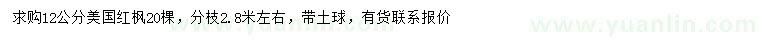 求購12公分美國紅楓