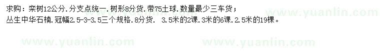求購12公分欒樹(shù)、2.5、3、3.5米叢生中華石楠