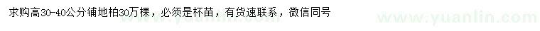 求購高30-40公分鋪地柏