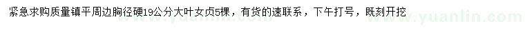 求購胸徑19公分大葉女貞