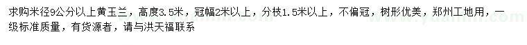 求購米徑9公分以上黃玉蘭