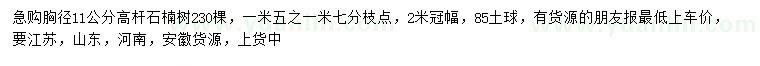 求購胸徑11公分高桿石楠