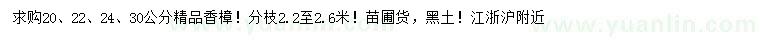 求購20、22、24、30公分香樟