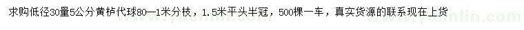求購30量5公分黃櫨