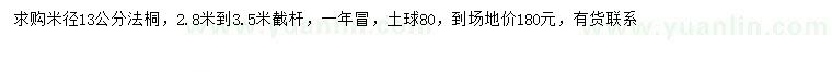 求購米徑13公分法桐