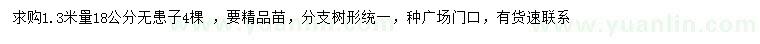 求購1.3米量18公分無(wú)患子