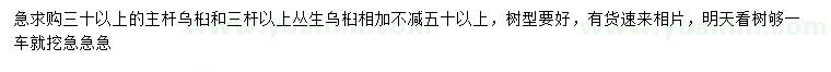 求購(gòu)30公分以上烏桕、三桿以上叢生烏桕