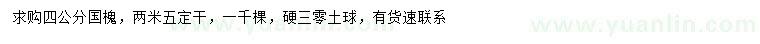 求購4公分國槐