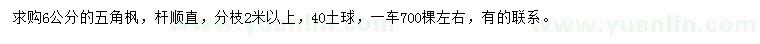 求購6公分五角楓