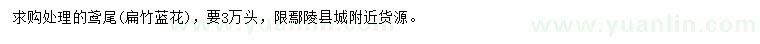 求購(gòu)鳶尾