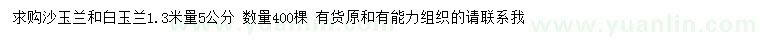 求購1.3米量5公分沙玉蘭、白玉蘭