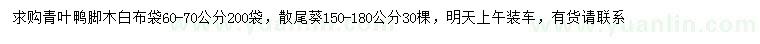 求購60-70公分青葉鴨腳木、150-180公分散尾葵
