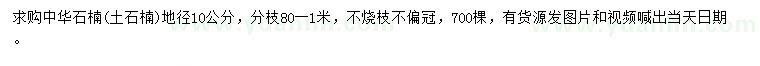 求購地徑10公分中華石楠