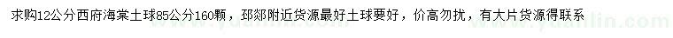 求購12公分西府海棠