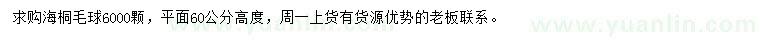 求購高60公分海桐球