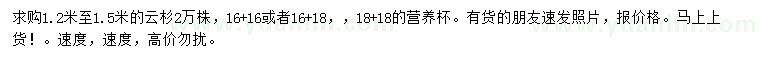 求購(gòu)1.2-1.5米云杉