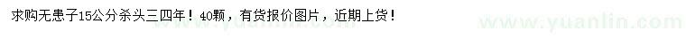 求購(gòu)15公分無(wú)患子