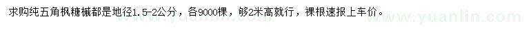 求購地徑1.5-2公分五角楓、糖槭