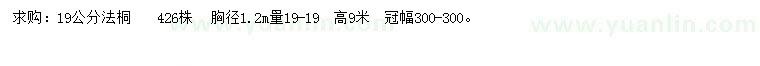 求購胸徑19公分法桐