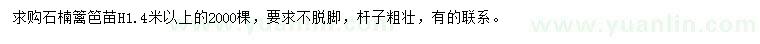 求購高1.4米以上石楠