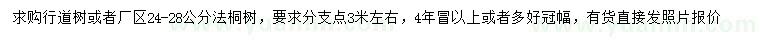 求購24-28公分法桐