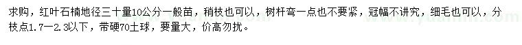 求購(gòu)30量10公分紅葉石楠