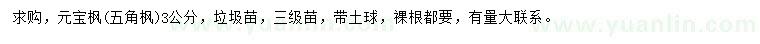 求購3公分元寶楓