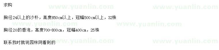 求購胸徑24公分以上沙樸，胸徑20公分香泡