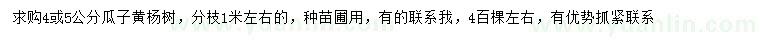 求購(gòu)4、5公分瓜子黃楊