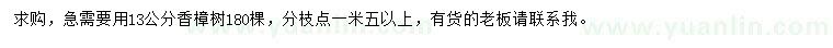 求購13公分香樟
