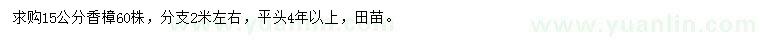 求購15公分香樟