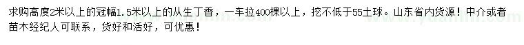 求購高2米以上叢生丁香