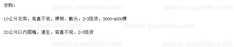 求購(gòu)10公分北欒、20公分以內(nèi)國(guó)槐