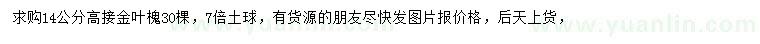 求購(gòu)14公分金葉槐