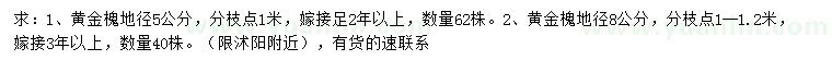 求購地徑5、8公分黃金槐