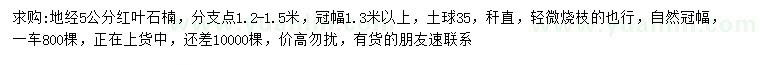 求購地徑5公分紅葉石楠
