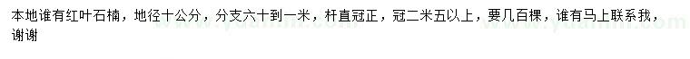 求購(gòu)地徑10公分紅葉石楠