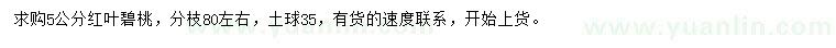 求購5公分紅葉碧桃