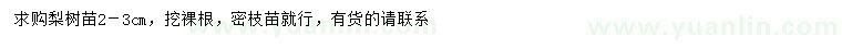 求購2-3公分梨樹
