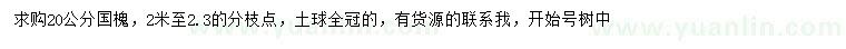 求購20公分國槐