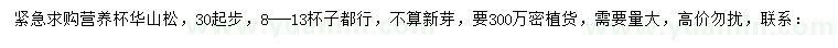 求購30公分起步華山松