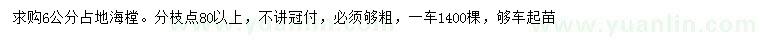 求購6公分海棠